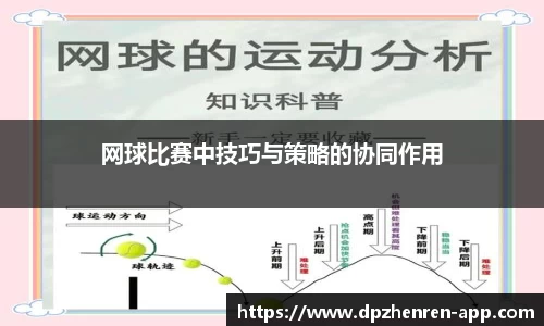 DP真人